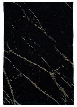 Фото Ковер Pietra Black Honey 200х300 см