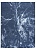 Фото Ковер Atlantic Blue 200х300 см