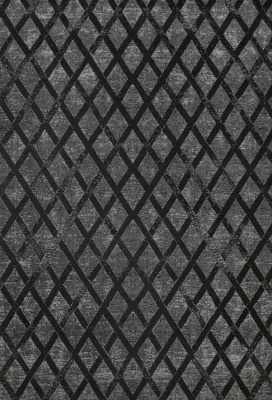 Фото Ковер Ferry Dark Shadow 200х300
